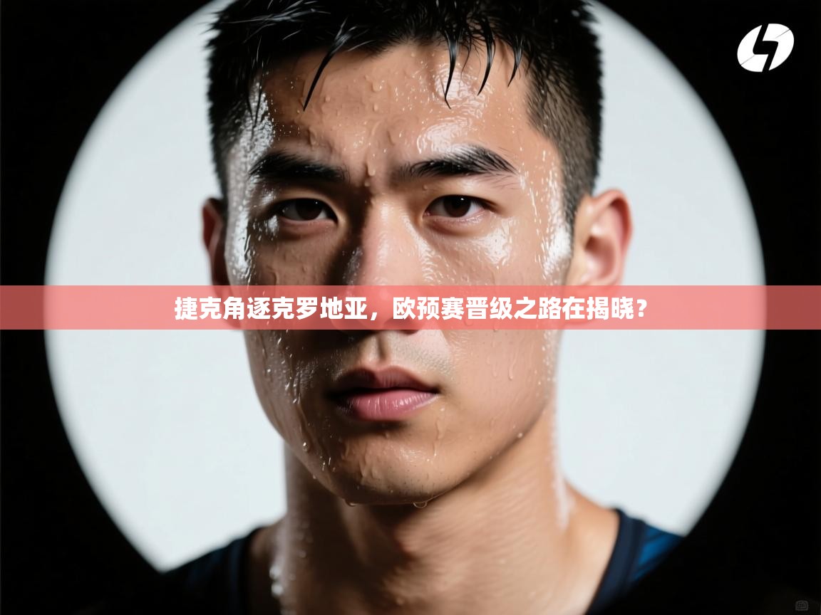 捷克角逐克罗地亚，欧预赛晋级之路在揭晓？  第2张