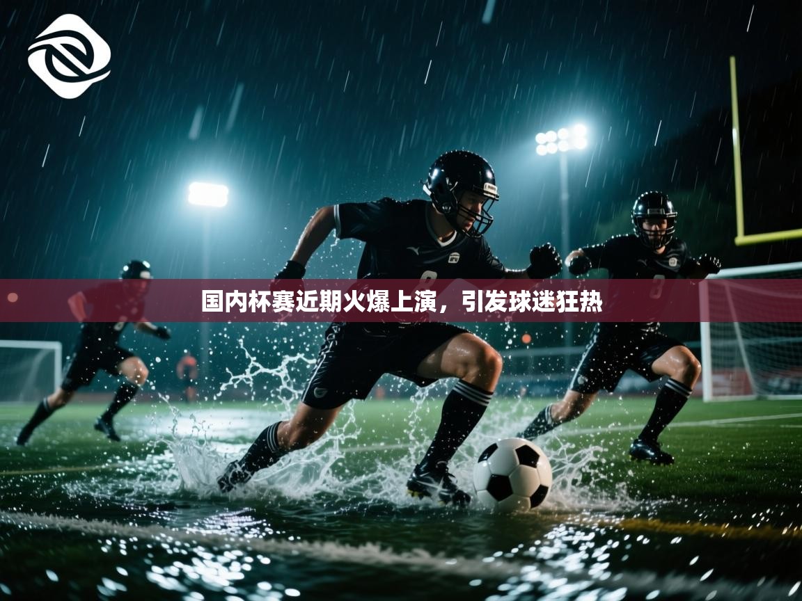 国内杯赛近期火爆上演，引发球迷狂热  第2张